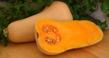 Butternut