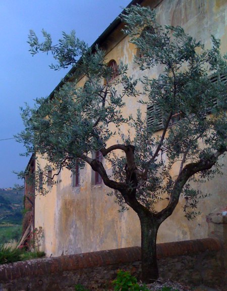 Villas and Bottles