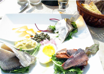 Herring, Glypotek, Nikolaj