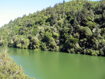 Karori